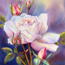 Схема вышивки «розы-3»