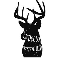 Схема вышивки «Экспекто патронум»