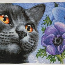 Оригинал схемы вышивки «хаед кошка» (№1562357)