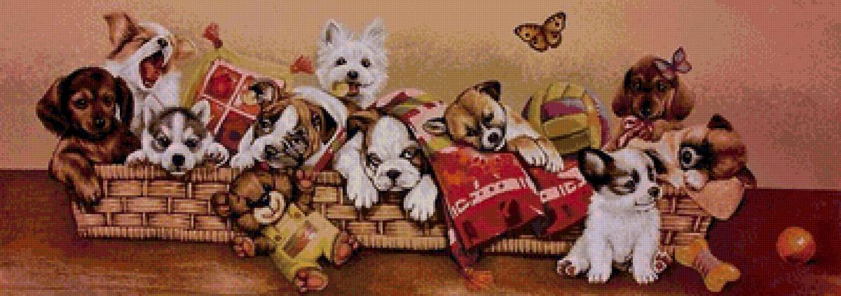 Команда футболистов - щенки, домашние животные - предпросмотр