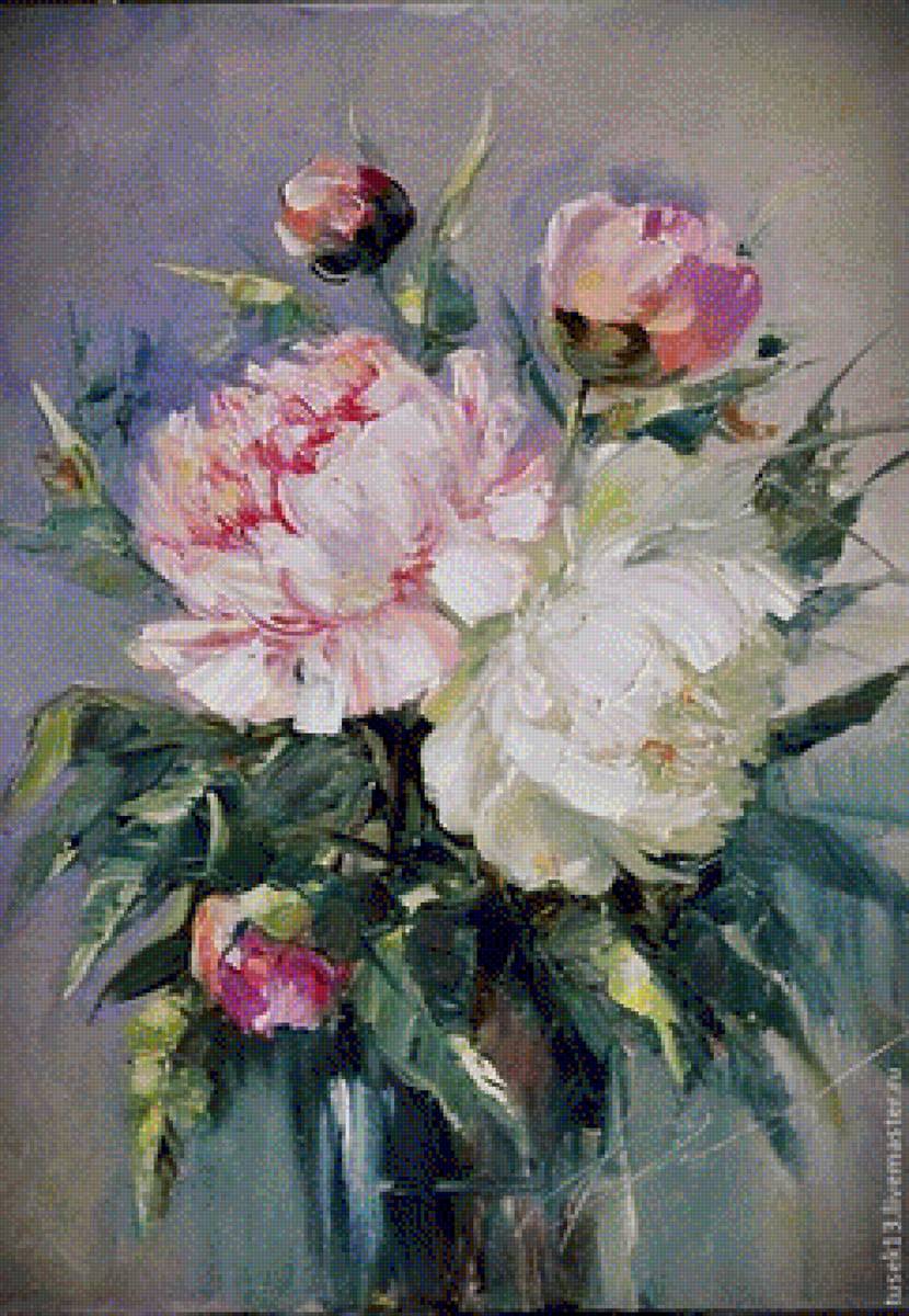 piwonie - предпросмотр