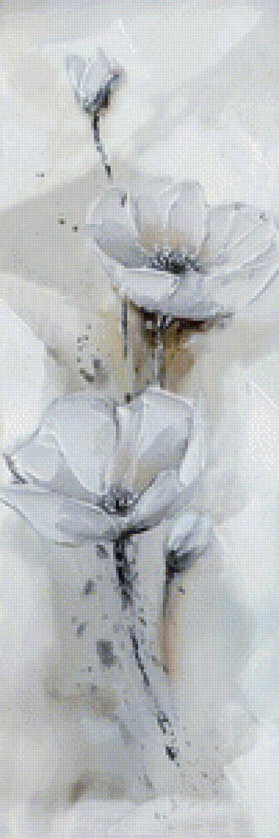 Белые маки - цветы - предпросмотр