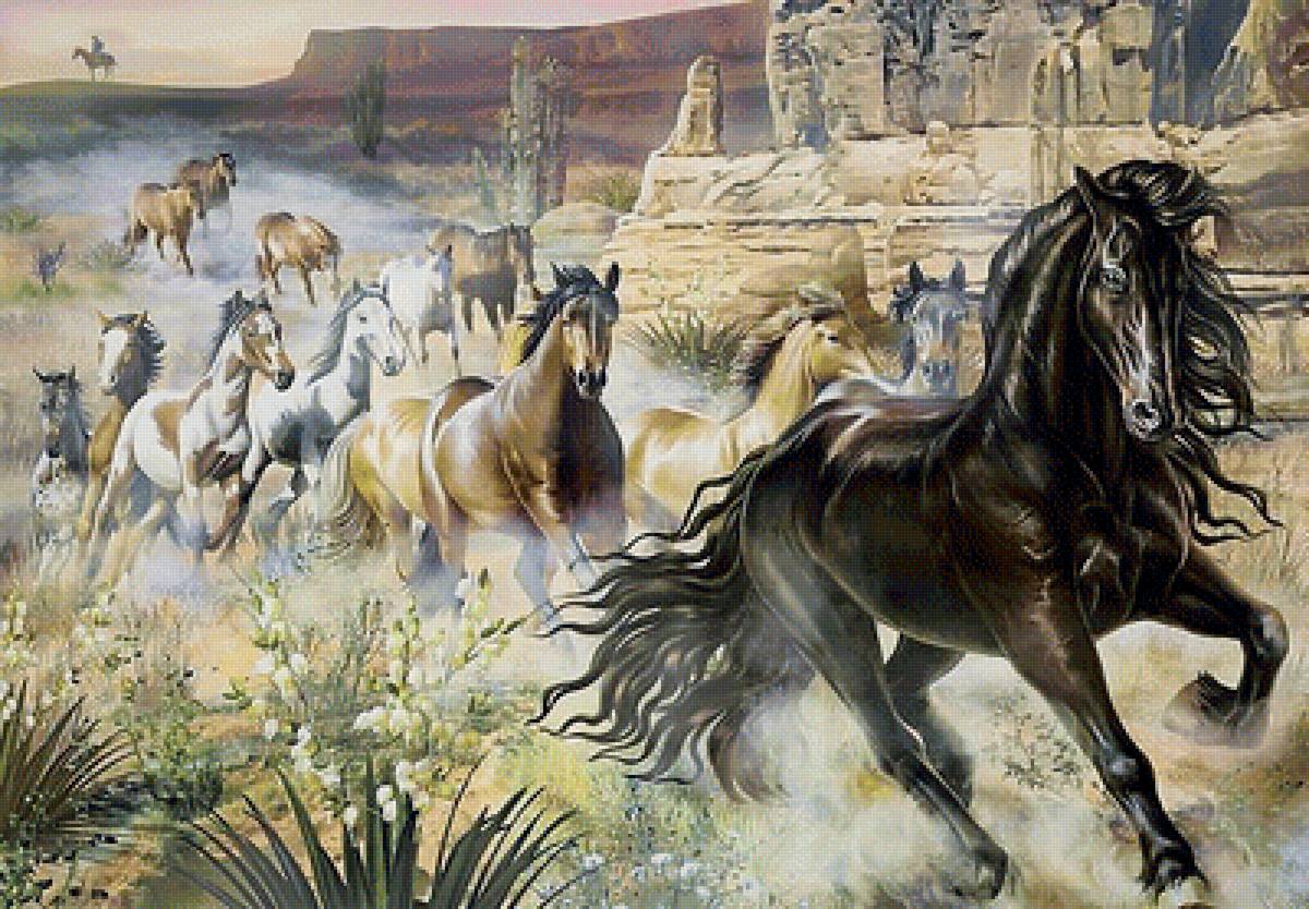 Лошади - лошади, природа - предпросмотр