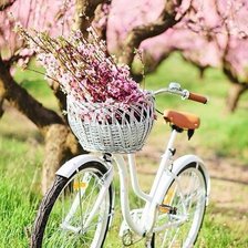 Схема вышивки «Велосипед с цветами»