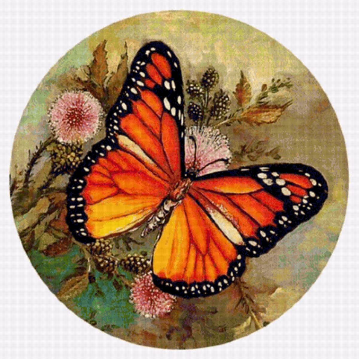 №1564385 - предпросмотр