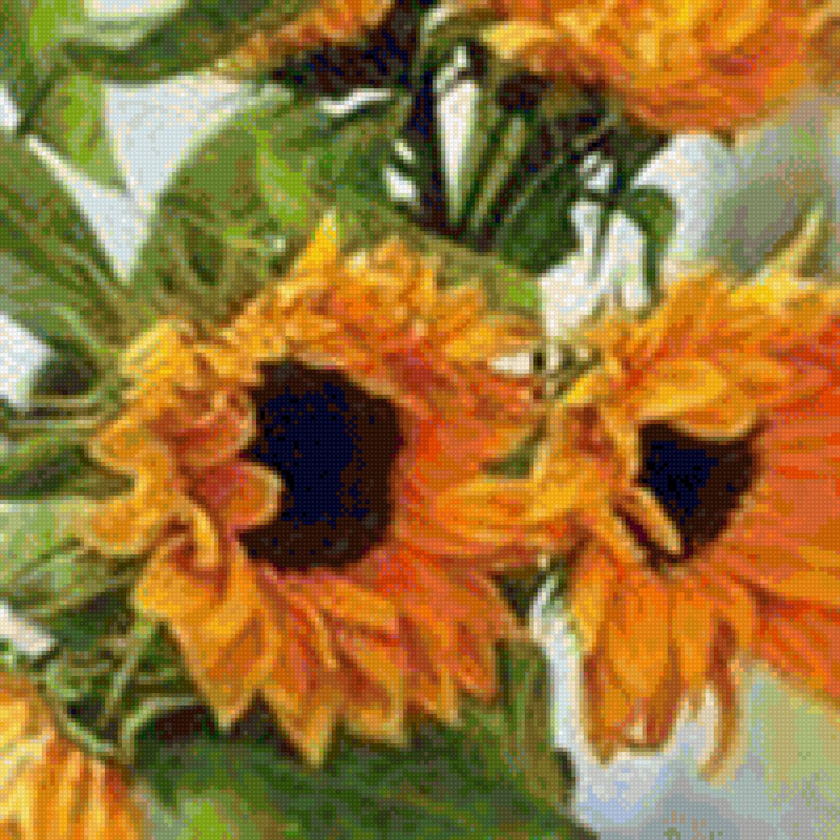 sluncnogled - cvetq - предпросмотр