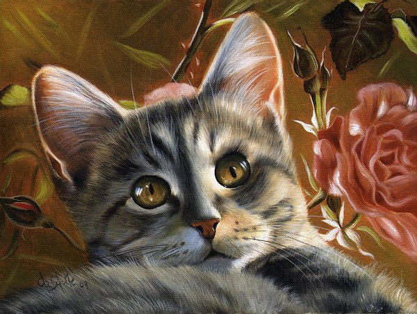 Кошка - животные - оригинал