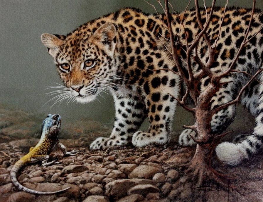 леопард - леопард, животные, кошка - оригинал