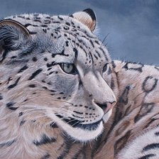 Схема вышивки «Снежный барс»