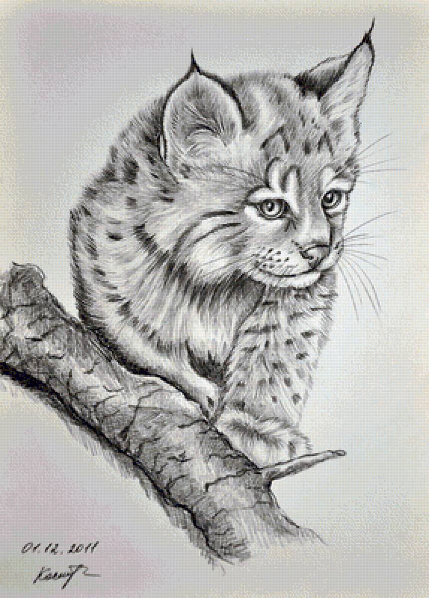 №1566065 - предпросмотр