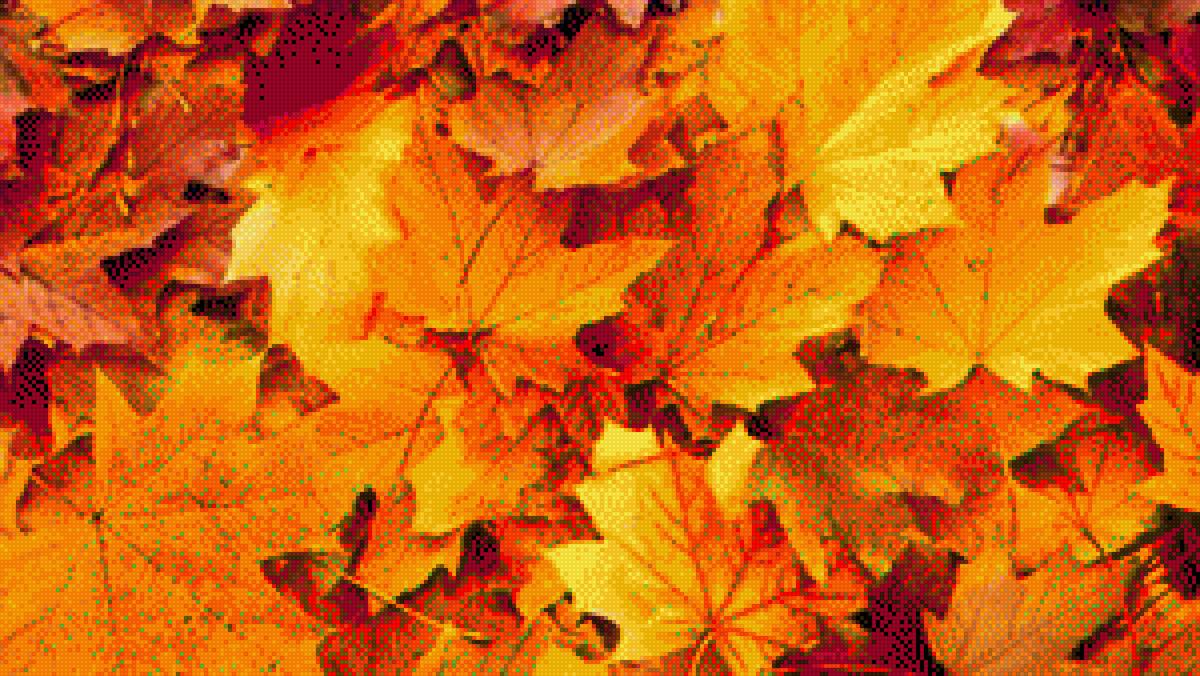 осень - клиновые листья - предпросмотр