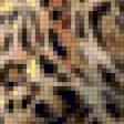 Предпросмотр схемы вышивки «Леопард» (№1566421)