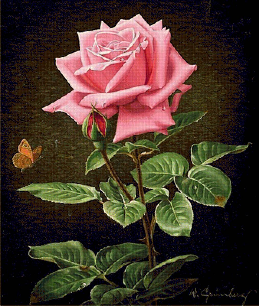 №1566640 - предпросмотр