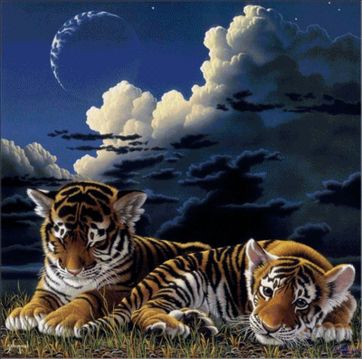 Тигрята - животные - предпросмотр