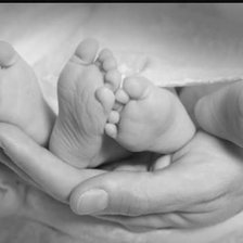 Схема вышивки «Rosa mari ap»