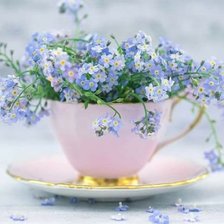 Схема вышивки «НЕЖНОСТЬ»