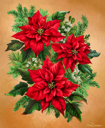 Vánoční hvězda 1 - оригинал