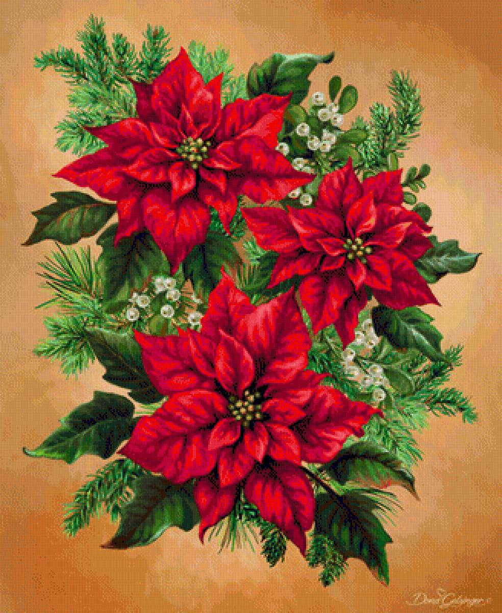 Vánoční hvězda 1 - предпросмотр