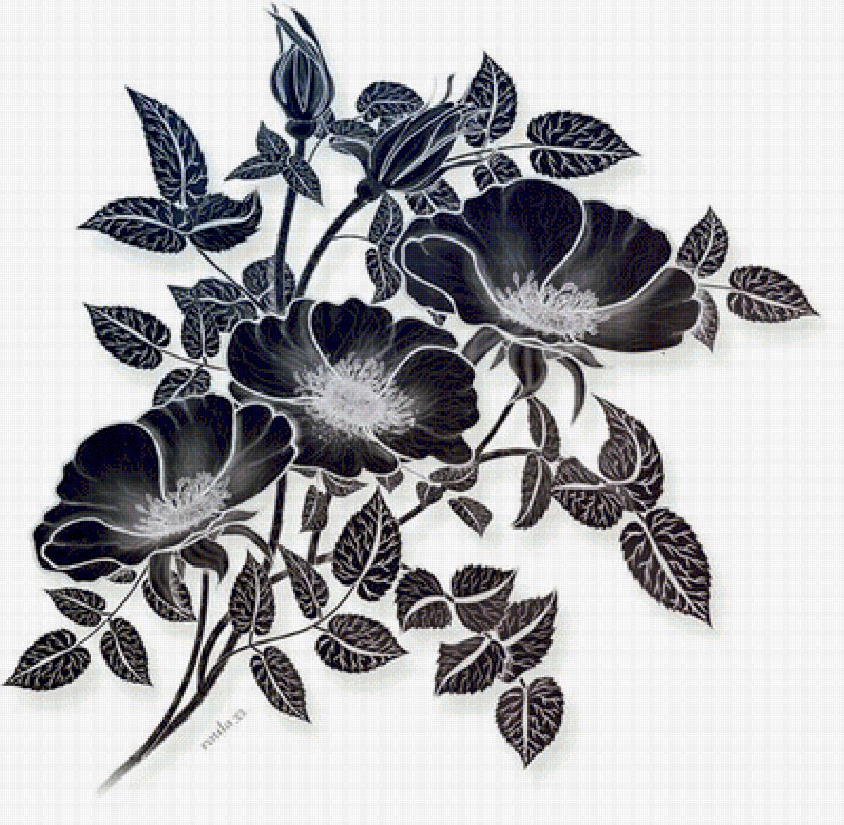 №1568037 - предпросмотр