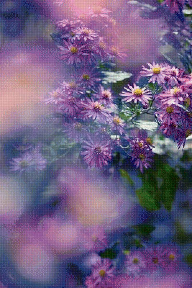 васильки - васильки, цветы - предпросмотр