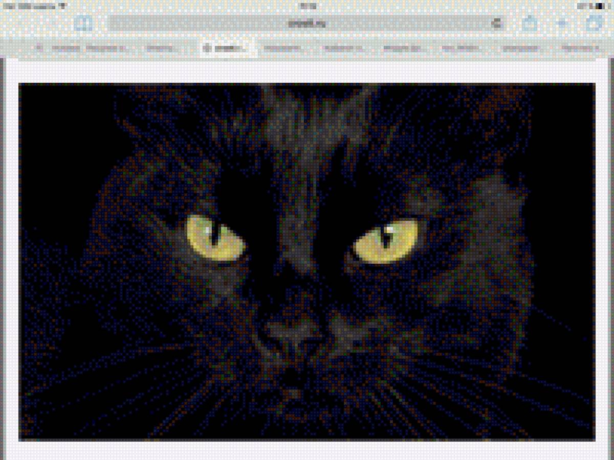 Черный кот - предпросмотр