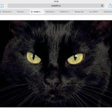 Оригинал схемы вышивки «Черный кот» (№1568696)