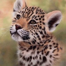 Схема вышивки «Котёнок»