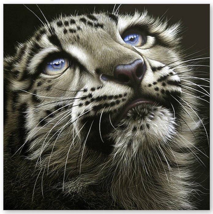 Котёнок - животные - оригинал