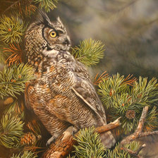 Схема вышивки «Сова»