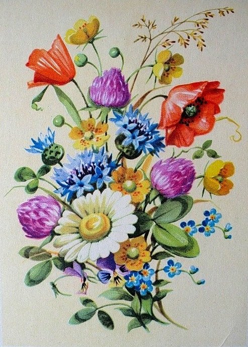 poľné  kvety - оригинал