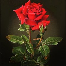 Схема вышивки «№1570937»