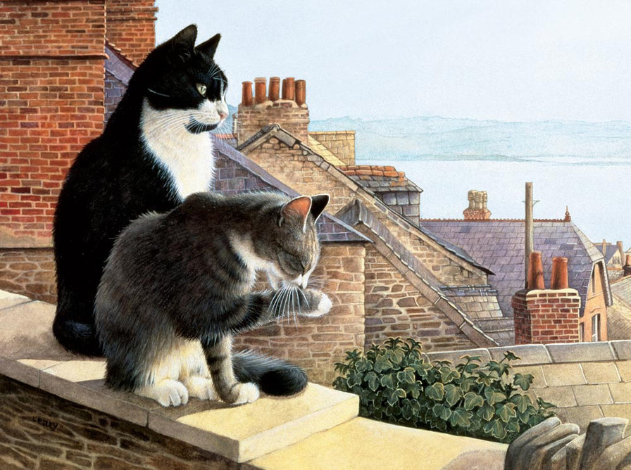 Коты - животные - оригинал