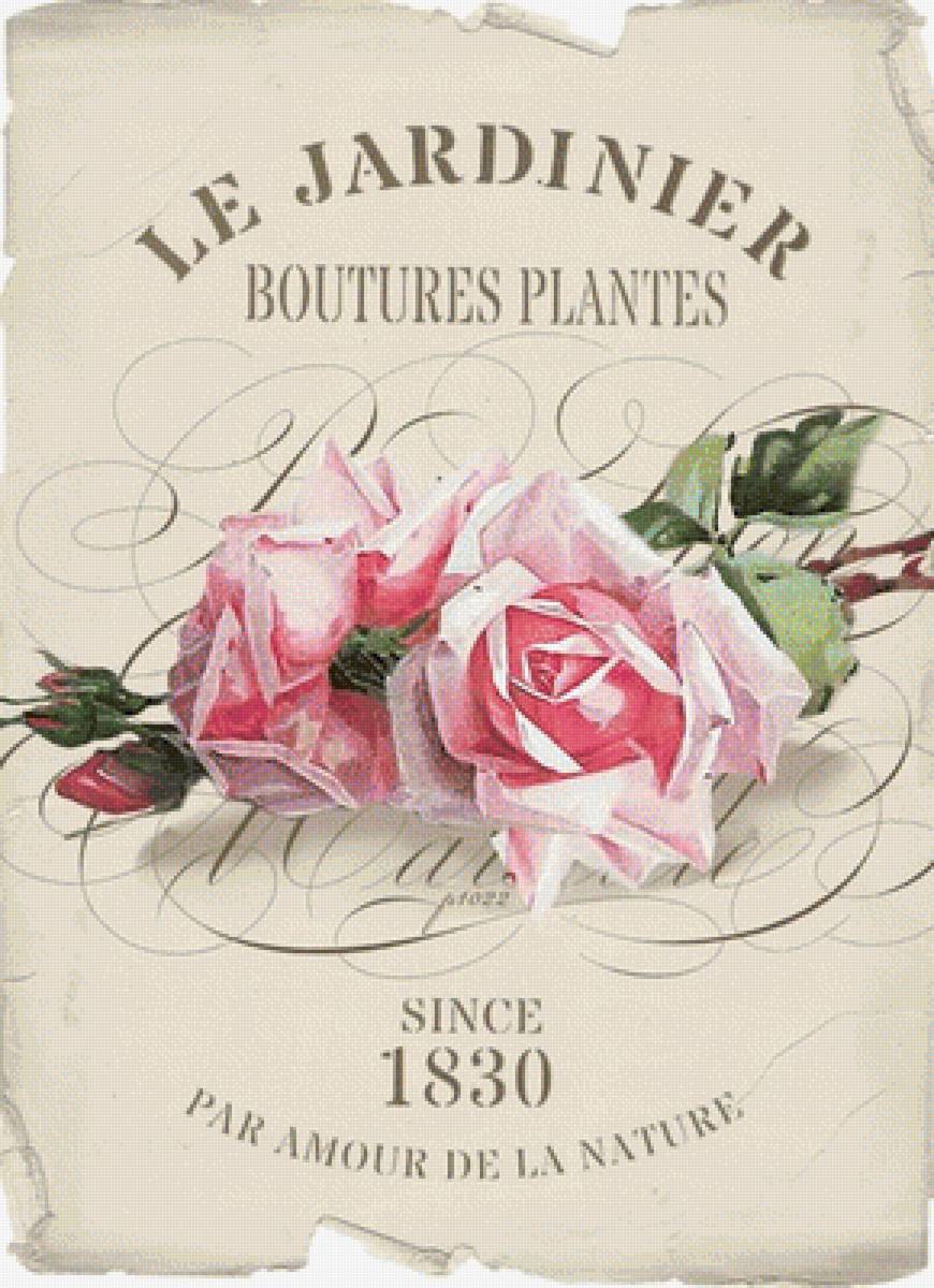 Reklama - предпросмотр