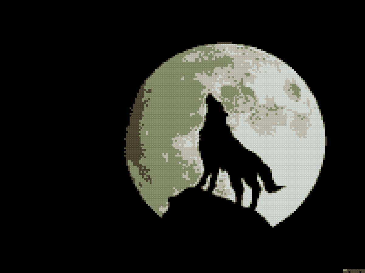 одинокий волк - животные, волк, луна - предпросмотр