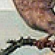 Предпросмотр схемы вышивки «Птицы» (№1571618)