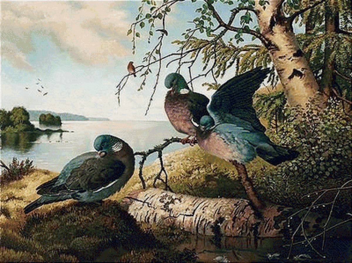 Птицы - животные - предпросмотр