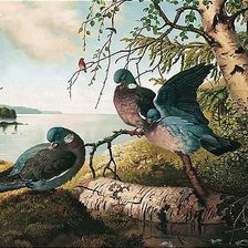 Схема вышивки «Птицы»