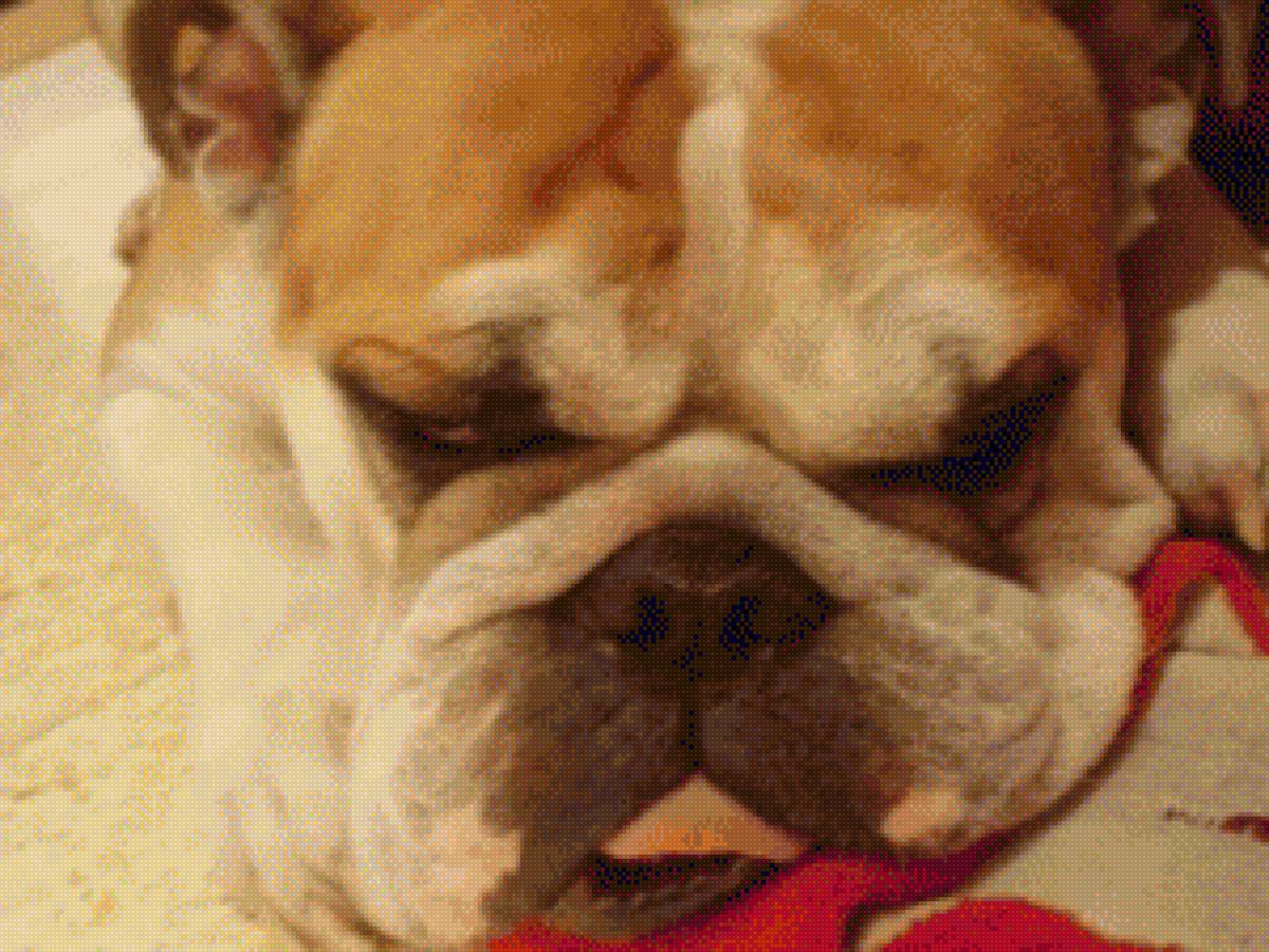 YANG 60 HILOS - yang 60 hilos - предпросмотр