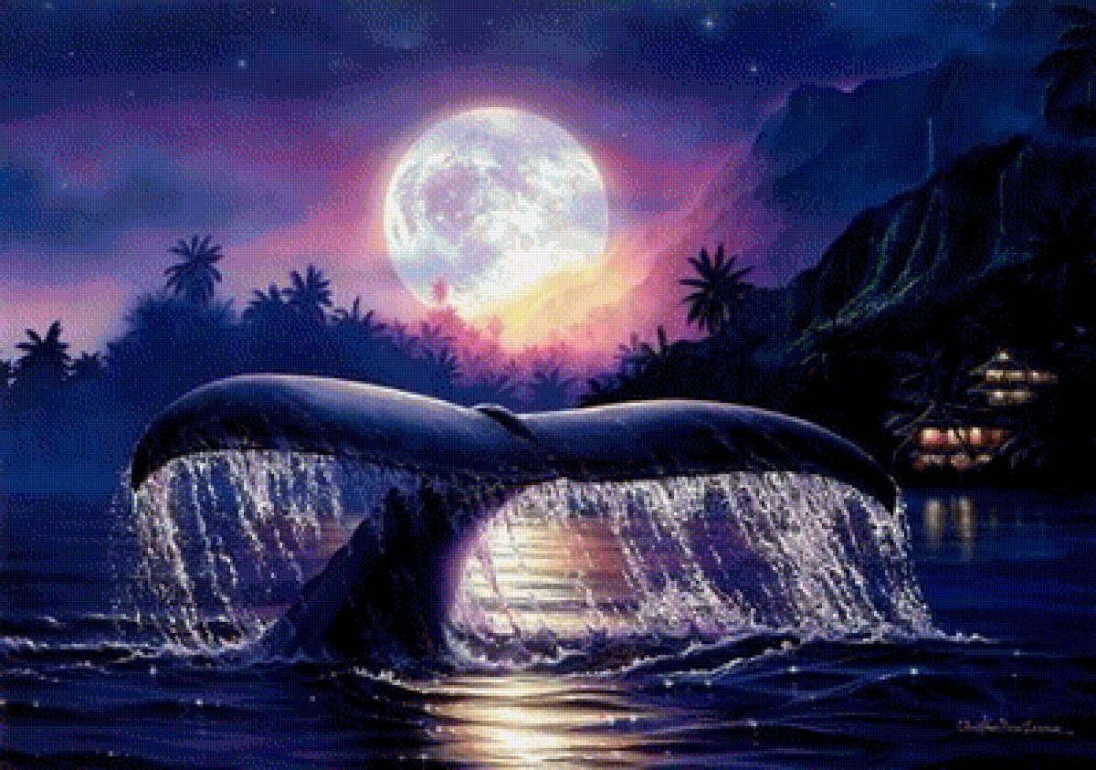 ночь - предпросмотр