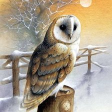 Схема вышивки «coruja»