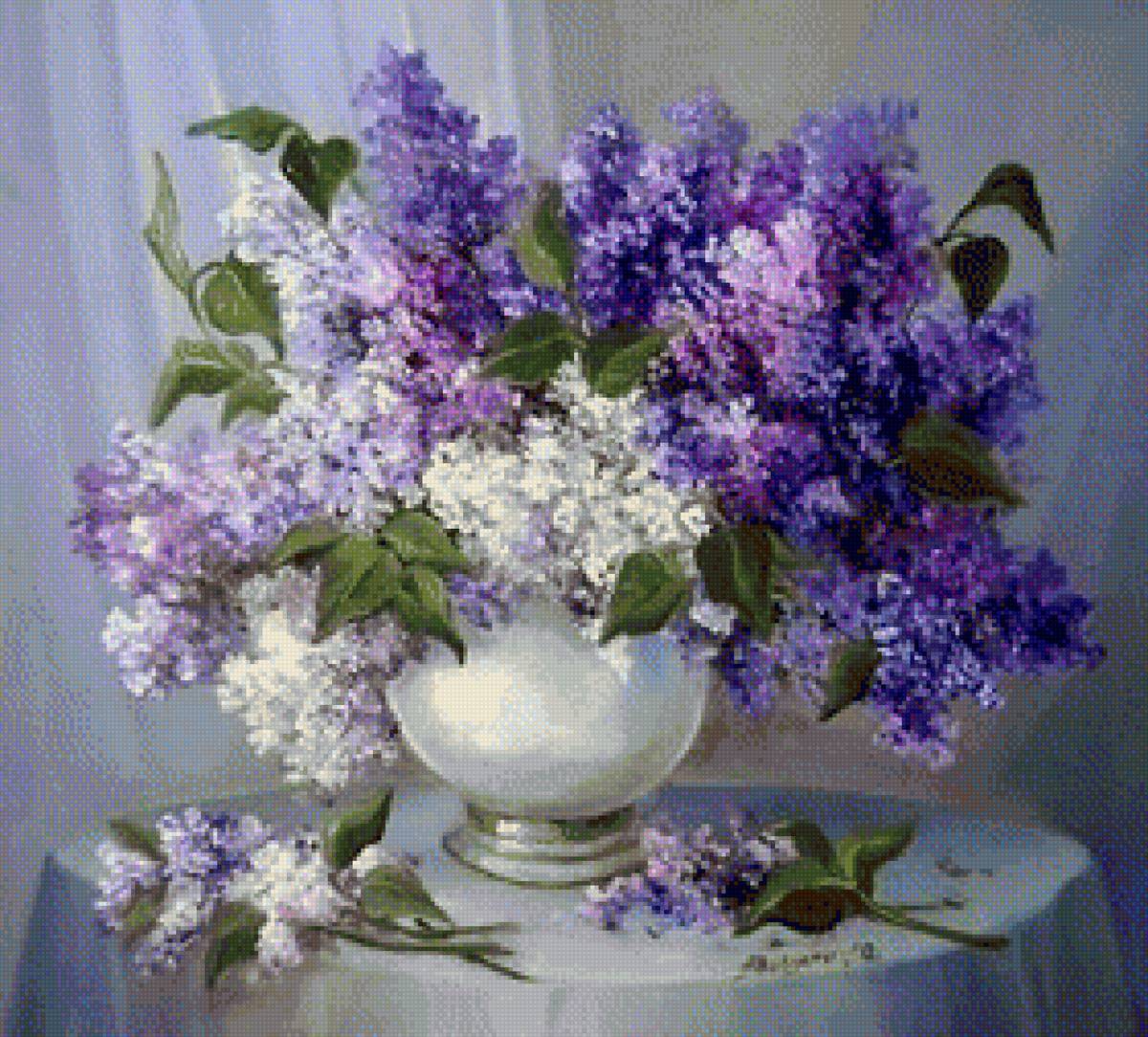 Rosa mari ap - lilas - предпросмотр