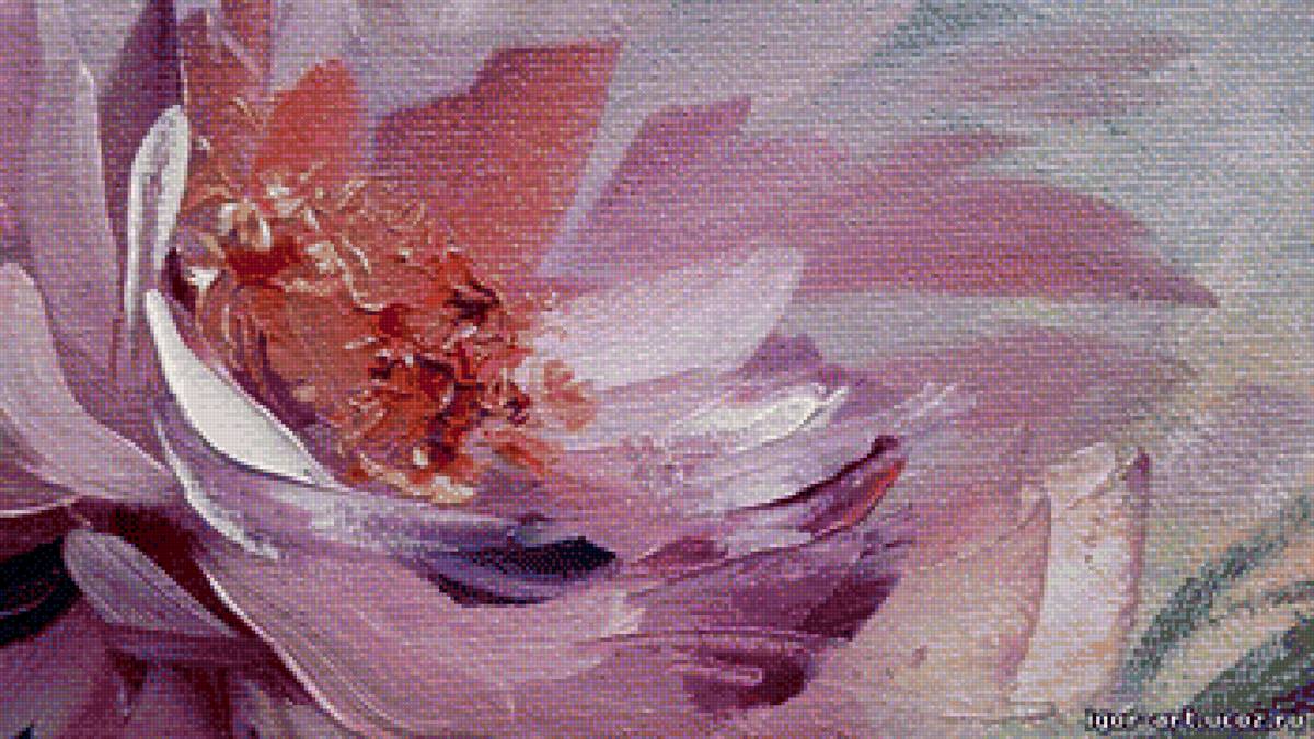 цветок - цветок - предпросмотр