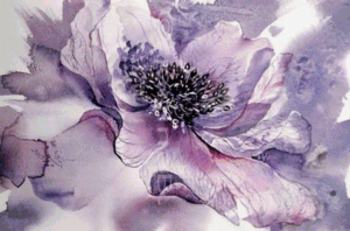 цветок - цветок - предпросмотр