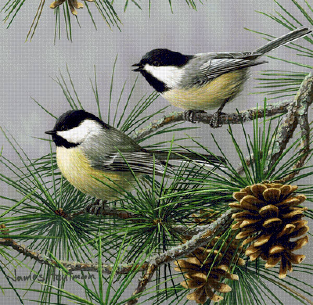 №1572898 - предпросмотр