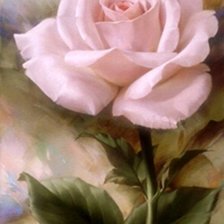 Схема вышивки «Роза 3»