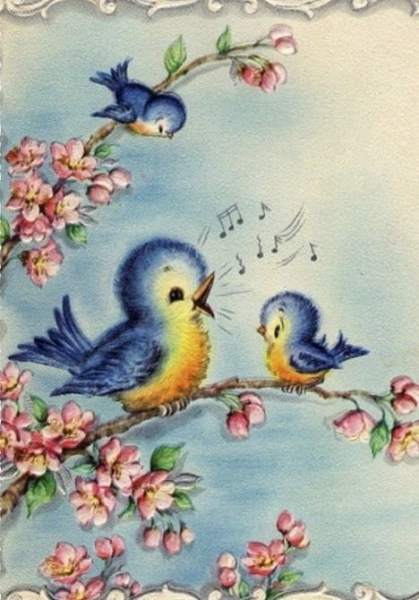 Passarinhos - animais - оригинал