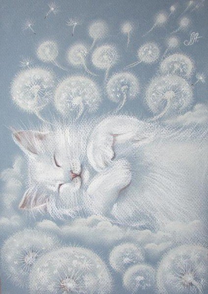 Кот - животные - оригинал