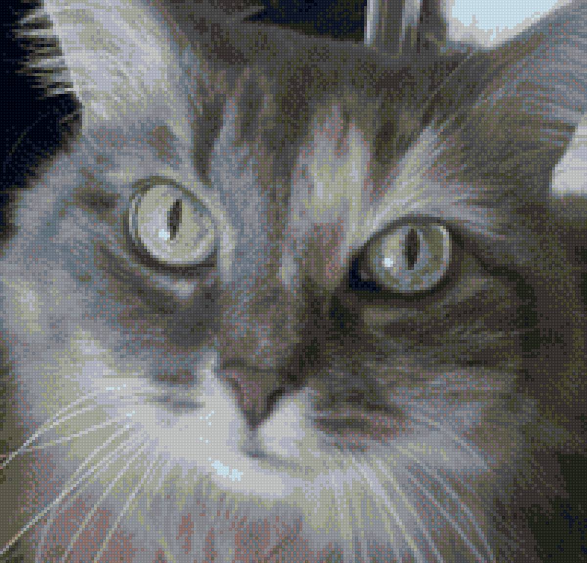 куся 20 цв - предпросмотр