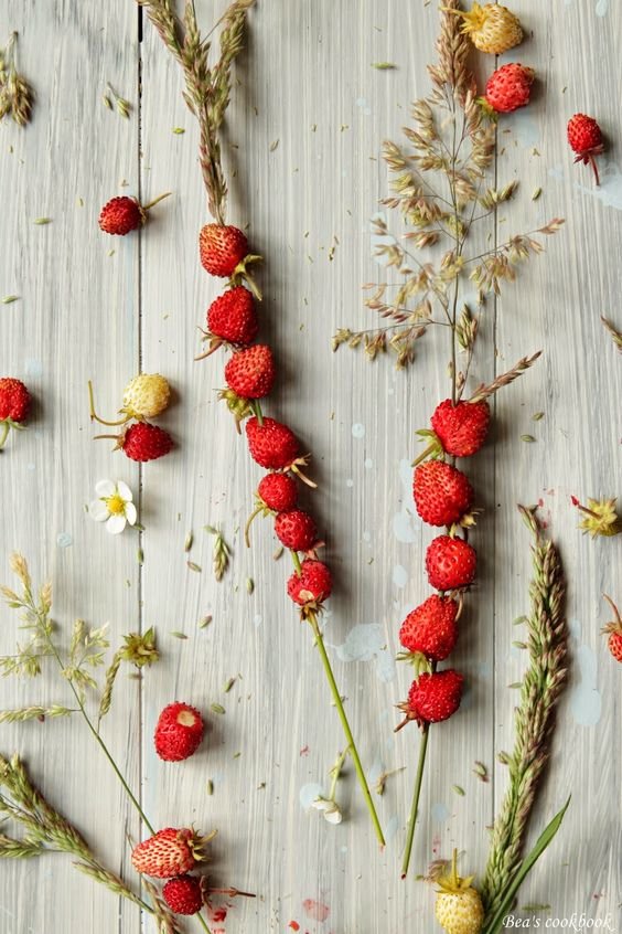 ЛЕСНИЕ ЯГОДИ - лесние ягоди - оригинал