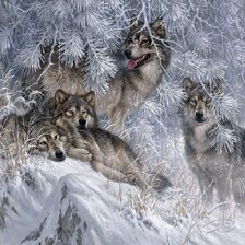 Схема вышивки «Волки»